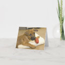 Sök efter tax kort Husdjur