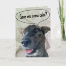 Sök efter rolig hund fotografi För alla