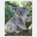 Sök efter gullig koala Gulligt