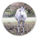 Sök efter häst och knoppar handtag För alla