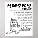 Sök efter husky konst Färgrik