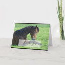 Sök efter horse kort Riddare