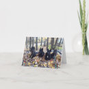 Sök efter flygkort kort Söt