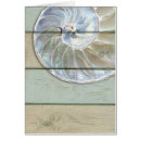 Sök efter nautilussnäcka Nautiskt