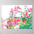 Sök efter bougainvillea posters Blomma