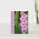 Sök efter gladiola kort Fotografi