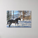 Sök efter cantering För alla