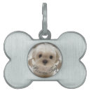 Sök efter djur älskare halsband Dogs