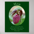 Sök efter rosa orchid posters Blomma