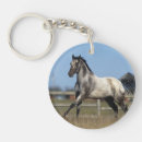 Sök efter appaloosa nyckelringar Foto