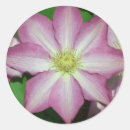 Sök efter clematis klistermärken Natur