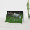 Sök efter mules kort Natur