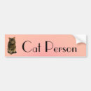 Sök efter amerikanshorthair Tabby
