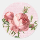 Sök efter rosa rosblomma klistermärken Blommor