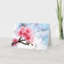Sök efter sakura kort Rosa