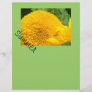 Sök efter scrapbooking papper Människor (allmänt)