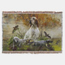 Sök efter engelskt filtar Engelsk setter