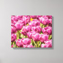 Sök efter fuchsia fotografi Natur