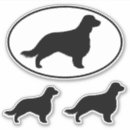Sök efter springerspaniel Welsh springerspaniel