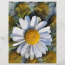Sök efter daisy reklamblad Botanisk