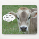 Sök efter mjölk elektronik Söt