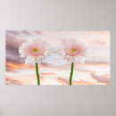 Sök efter rosa gerbera posters Vår