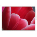 Sök efter dag rosa tulpan Födelsedag