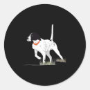 Sök efter jakt labrador klistermärken Fiska