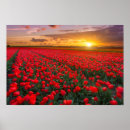 Sök efter fält posters Blommar