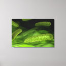 Sök efter tredimensionell konst 3d