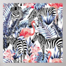 Sök efter rosa zebra posters Djungel