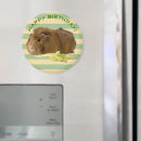 Sök efter vegan magneter Söt