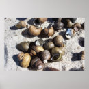 Sök efter sötvatten posters Fotografi