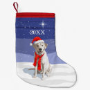 Sök efter jakthund Hund älskare