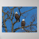 Sök efter partners posters Natur