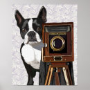 Sök efter fotograf posters Hund