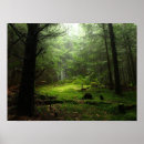 Sök efter skogar posters Skogen