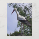 Sök efter storks vykort Baby