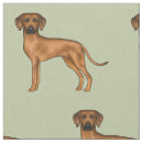 Sök efter lejon hund Människor (allmänt)