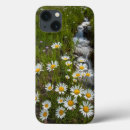 Sök efter daisy ipad skal Blomma