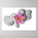 Sök efter rosa plumeria posters Natur