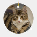 Sök efter officiell julgransprydnader Söt