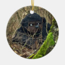 Sök efter big julgransprydnader Flod