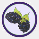 Sök efter blackberry klistermärken Bär