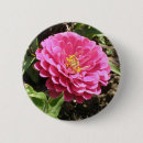Sök efter zinnias knappar Blommigt