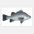 Sök efter perch klistermärken Fiske