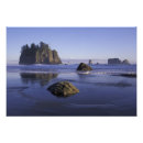 Sök efter olympic nationalpark konst Kust