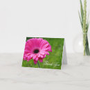 Sök efter rosa gerbera kort Blommig