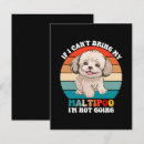 Sök efter hund svarskort Djur