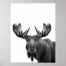 Sök efter alaska posters Porträtt